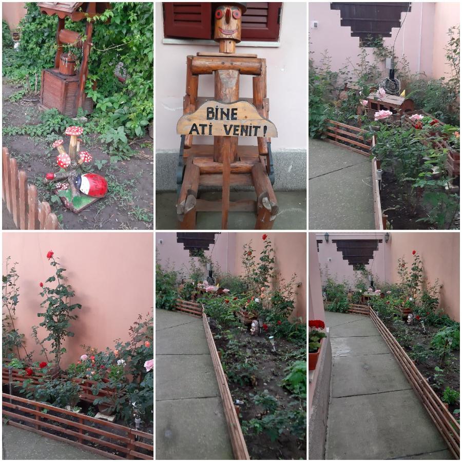 Ionela Hotel Costinesti Exterior photo