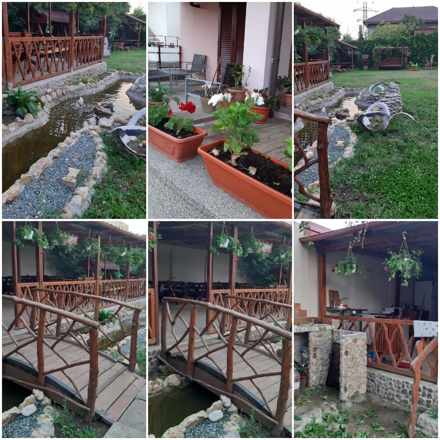 Ionela Hotel Costinesti Exterior photo