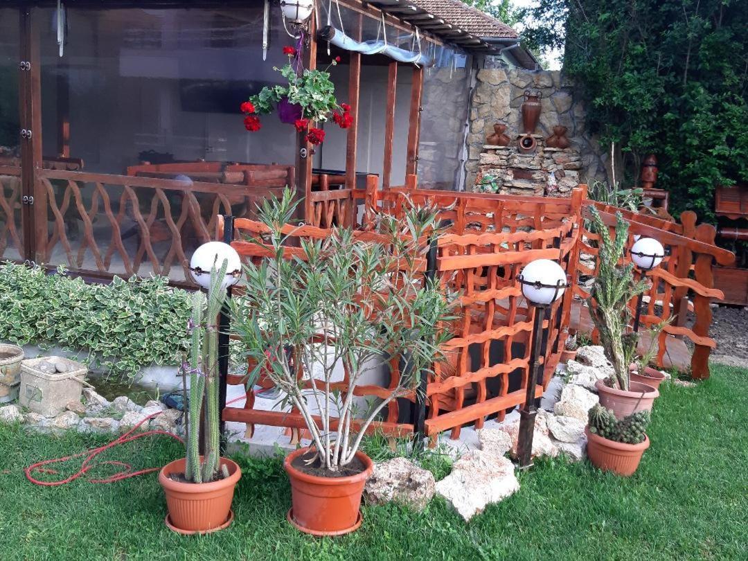 Ionela Hotel Costinesti Exterior photo