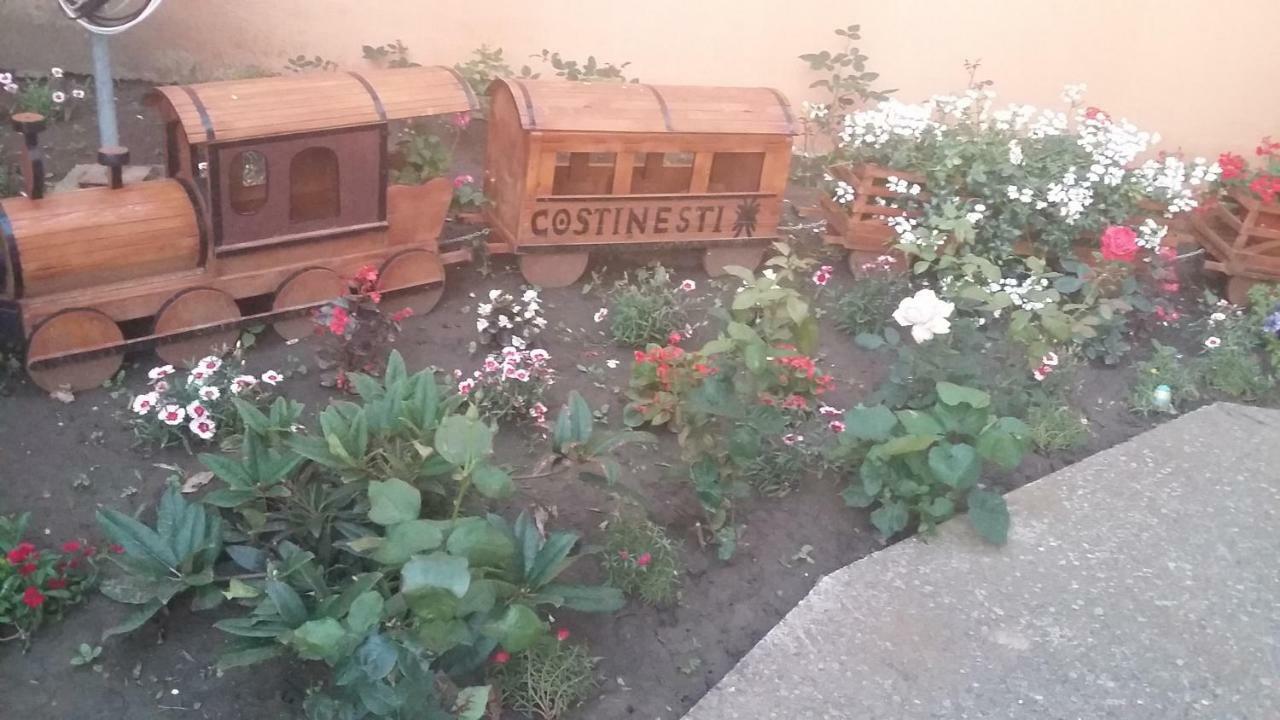 Ionela Hotel Costinesti Exterior photo